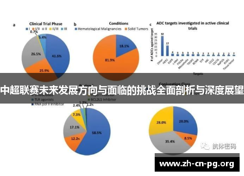 中超联赛未来发展方向与面临的挑战全面剖析与深度展望