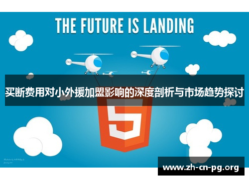 买断费用对小外援加盟影响的深度剖析与市场趋势探讨