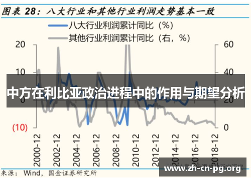 中方在利比亚政治进程中的作用与期望分析
