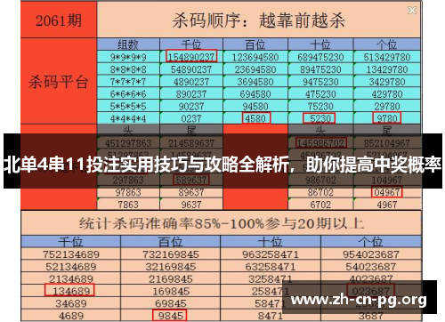 北单4串11投注实用技巧与攻略全解析，助你提高中奖概率