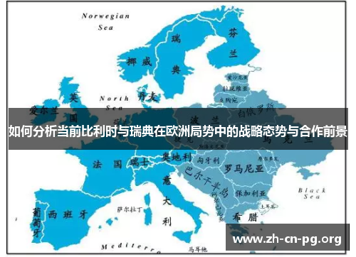 如何分析当前比利时与瑞典在欧洲局势中的战略态势与合作前景