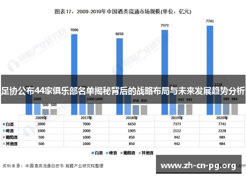 足协公布44家俱乐部名单揭秘背后的战略布局与未来发展趋势分析