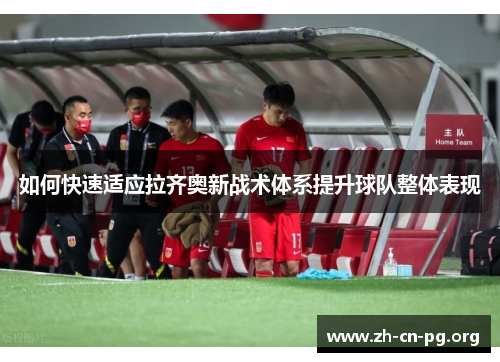 如何快速适应拉齐奥新战术体系提升球队整体表现