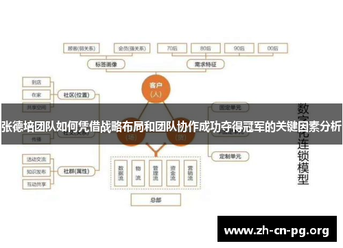 张德培团队如何凭借战略布局和团队协作成功夺得冠军的关键因素分析